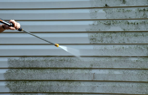 Best Building Exterior Washing  in Weimar, TX